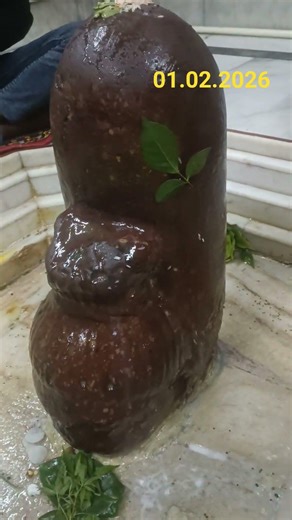 आज के शुभ दर्शन #bholenath #shankar #shiv #mahakal #viralvideos #viralshorts #shorts #sablimahadev