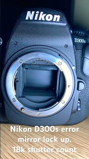 Nikon D300s "Error" issue
