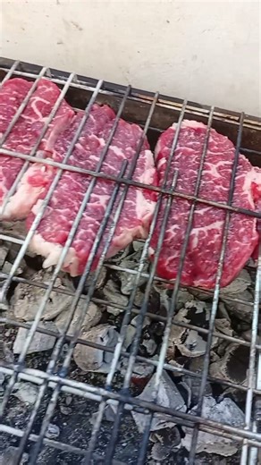 hafta sonu kaçamağı #zebra #kurtarma #kurtuluş #mangal #bonfile #pirzola #ızgara #sütdanası