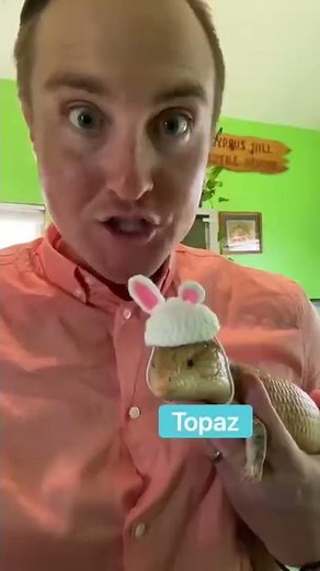 What Do The Animals Do On Easter? 🐣🐰🥚#shorts #easter