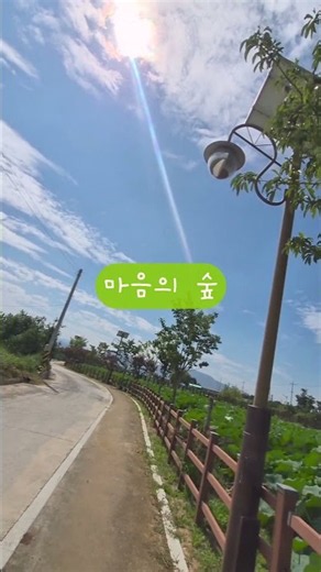#JoseonHipHop #ForestOfTheMind #WalkingPath #Pondside #LotusFlower