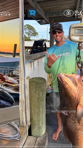 Reef Runner Guided Spearfishing Trips for a Fish of a Lifetime From record-breaking catches to unforgettable dives — Reef Runner puts you right where the action is. Join our guided spearfishing trips and experience the ultimate underwater hunt. Dive deeper, go further… with Reef Runner. 📞 Book your next dive: 1-910-679-4513 🌐 Explore more: maverick-america.com [ guided spearfishing, big fish catch, spearfishing trips USA, underwater adventure, reef runner gear ] #SpearfishingLife #ReefRunnerGe