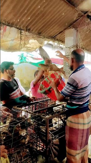 Desi Ducks for Sale in the Village Haat | Village Farmers Selling Ducks at Weekly Market