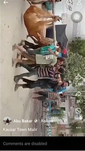 yha sb kia Hy yr ba zaban janwar Hy wo #youtubeshorts #merehumnasheen