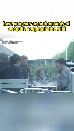 Have you ever seen thousabds of seagulls pooping in the wild#science #knowledge #mischief