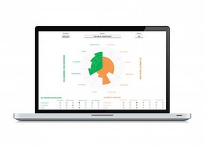 Wheel of Life Lebensrad Excel Vorlage | Rad der Werte - Etsy.de