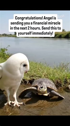 Manifestation | Spirituality on Instagram: "💰Type “Yes” to affirm💰 @lawofattraction_013 🗣️Speak this secret 9-word script and change your life. They say it reprograms your DNA to make your wishes come true way faster. Just whisper these words, and you might just see wonders! I was skeptical at first, but boy, was I wrong! 🌟 Click the link in my bio @lawofattraction_013 to check it out. ✨ 🎥Credits: @lawofattraction_013 Make sure to follow @lawofattraction_013 for daily inspiration and guidan