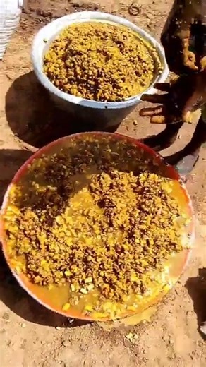 Locust beans (African locust bean, Parkia biglobosa) are a versatile staple in West Africa, primarily used for flavoring soups and stews as a pungent condiment (iru, dawadawa) Culinary Uses Seasoning: Fermented seeds create a strong, umami-rich paste (iru/dawadawa) for thickening and flavoring soups, stews, and sauces (like Red-Red). Fresh Pulp: The sweet, mealy pulp from the pod is eaten as a snack, baby food, or made into a refreshing drink. Roasted Seeds: Can be roasted and ground to make a c