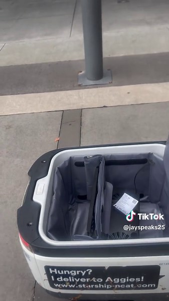 Understanding Starship Robots in Food Delivery