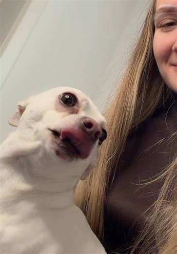 Filmy użytkownika Maryna Moskalenko 🇺🇦🇺🇸 (@moskalenko_m2) z muzyką i think i'm addicted - oskar med k & Haley Joelle