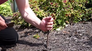 Hose Guide - Heavy Duty Solid Aluminum Decorative Frog Garden Hose Stake At 19 Inches Tall Is A Perfect Addition To Your Property To Protect Your Flower Beds, Plants And Landscaping. (2, Frog)