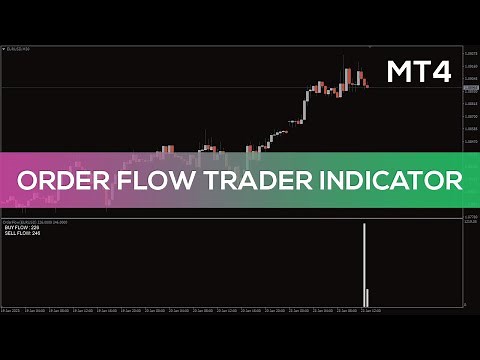 Order Flow Trader Indicator for MT4 - BEST REVIEW