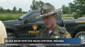Officials searching for bear near Corydon, Ind.