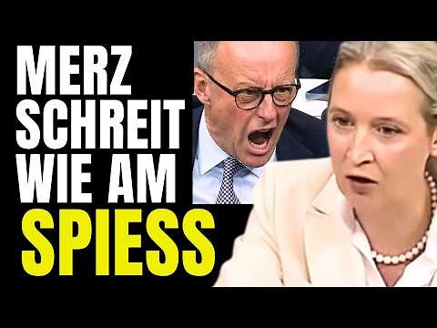 SHOCK! Merz SHOUTS INTO Weidel's speech – but then the AfD LEADER is the LAST ONE TO LAUGH!