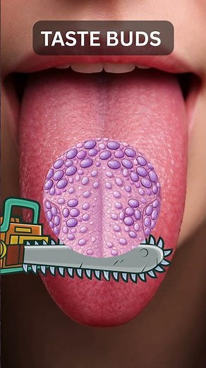 What’s REALLY Inside Your Tongue? 👅
