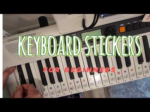 Casio Keyboard Stickers | Worth Buying for Beginners?