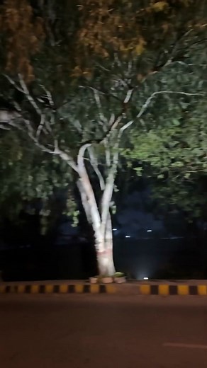 114K views · 1.1K reactions | Bhoot wali Road #horror #shortfilm #reels #bhoot #ghost #suspense #scary #witch #scaryvideo #ghostvideo #paranormal | Farah adil | Facebook