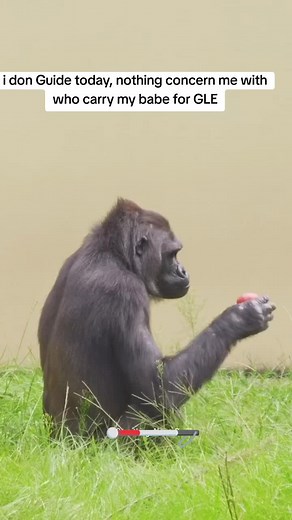 Girlfriend Food ASMR Video