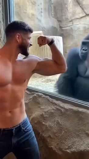 bodybuilding 💪 on Instagram: "Beast.............😇💪🔥 Follow @body_builder_motivations . . . . . . . . .#instafit #motivation #fit fitness gymlife pushpullgrind reelkarofeelkaro flex instafitness gym trainhard eatclean grow focus dedication strength ripped swole fitnessgear muscle shredded squat reels cardio sweat reelitfeelit lifestyle bodybuildingofworld reelsinstagram"