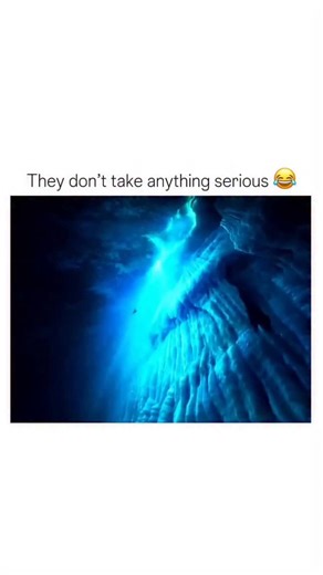 memes and movies account on Instagram: "Happy Feet (2006) — The hilarious scene where a group of Adélie penguins tease and play around with a fat, sunbathing seal perfectly captures the film’s playful spirit. The penguins, led by the fast-talking and fearless Ramon (voiced by Robin Williams), treat the massive seal like an oversized joke, poking fun at his size and laziness while dancing and laughing uncontrollably. The seal, clearly irritated but too slow to chase them, grumbles and flops aroun