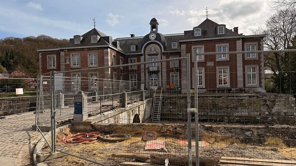 À Angleur, le chantier du parc de Peralta s'adapte pour protéger ses batraciens - RTBF Actus