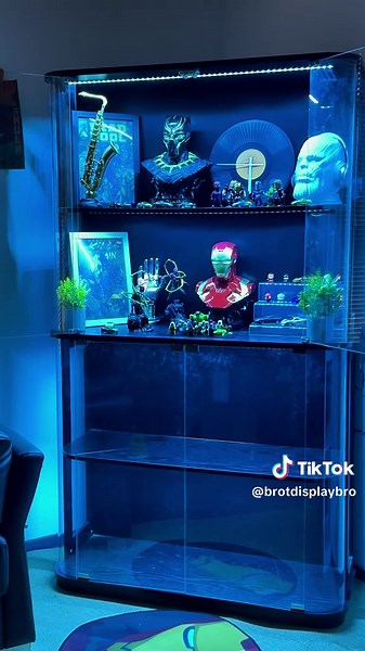 Unbelievable Collector's Display Case