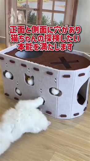 隠れながら遊べる、猫ちゃん好みのデザイン#猫のいる暮らし #猫用品 #猫ベッド #フェルト猫ハウス #猫のおもちゃ