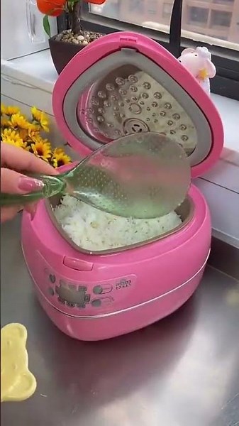 Mastering Japanese Cuisine Must Have Rice Accessories and Handy Kitchen Tools! #KitchenTools