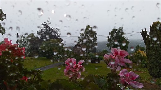 Météo en Belgique : un lundi sous les nuages et la pluie, avec un avertissement jaune de l’IRM - RTBF Actus