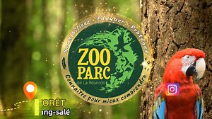 357 reactions · 39 shares | Les vacances au Zoo Parc de la Réunion...