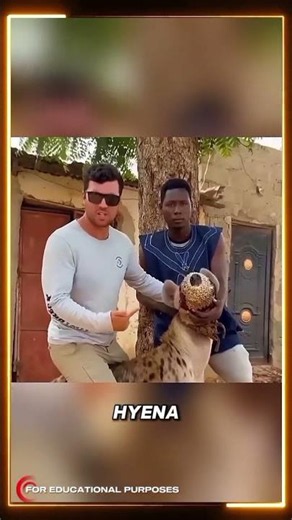 People Actually Keep Hyenas as Pets in Ethiopia! 😱🐺. #documentary#usashorts#fyp