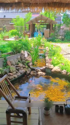 Turning My Dead Backyard Into an Eco Pond #garden #renovation #landscaping #natural #outdoors