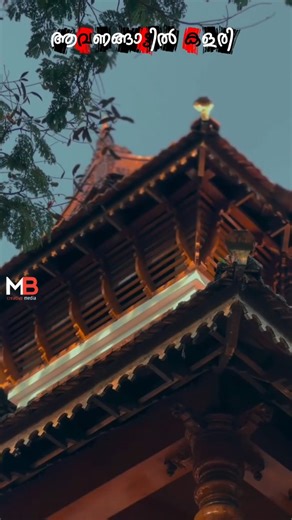 ആവണങ്ങാട് കളരി❤️‍🔥