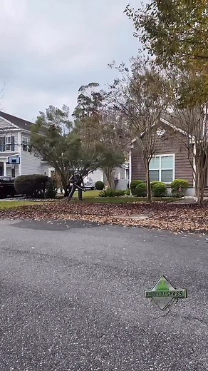 Mulching leaves is great… until it’s not. Too many leaves can smother the grass and block the sunlight your lawn needs to breathe. Thick layers create excess moisture, which leads to fungus, pests, and weak growth. If your mower is struggling or leaving clumps, that’s your sign to scale back. Light, frequent mulching helps. Heavy piles don’t. | Blades of Grass Lawn Care, LLC