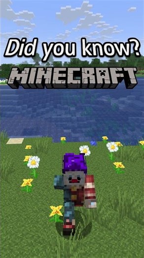 Did you know? #22 Minecraft Music Discs