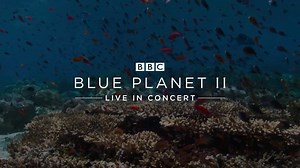 Blue Planet II Live in Concert, hosted by Anita Rani, will be here on 21 March 2019! Tickets from > https://bit.ly/2syRCvI 🐬🐳🐋 Bringing the wonders and mysteries of the planet’s oceans and its inhabitants to the arena stage, Blue Planet II Live will present a selection of incredible visuals from the BBC One series, highlighting the amazing natural wonders of our planet in breath-taking detail! | OVO Hydro