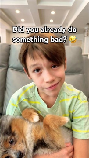 Did you already do something bad? 🐶🤣