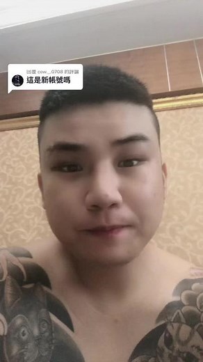 Intricate Cat Tattoo Designs on Shoulder and Arm