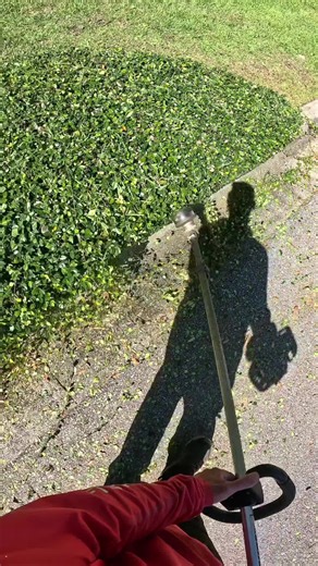 Satisfying Lawn Care Tips for a Healthy Lawn