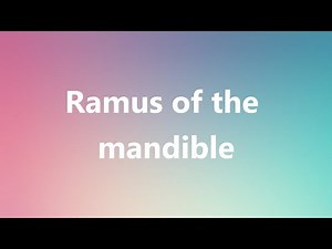 Ramus of the mandible - Medical Definition and Pronunciation