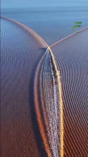 How Square Waves Are Formed😨