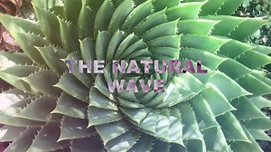 🌊Natural Waves inspiration🌀 Korner XL Rainbow is the irreplaceable tool for exclusive trendy waves The exclusive inverted conical shape and the length allow you to obtain special curls ✨ #GammaPiu #GammaPiù #Waves #KornerXL #NaturalWaves | Gamma Più