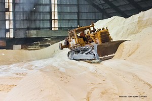 The End of Maui Sugarcane