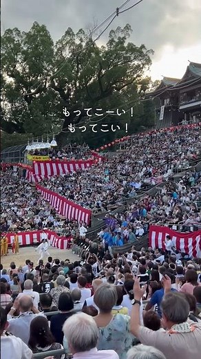 【Vlog】長崎くんち2025を観に行きました！🐉#長崎くんち #長崎 #おくんち #奉納踊り #諏訪神社 #桟敷席 #龍踊り #vlog #長崎観光 #長崎旅行 #社会人vlog