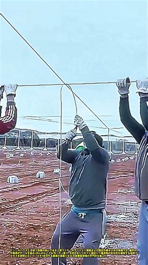 頑丈な温室の骨組み作り：ビニールハウスのワイヤー張力調整と支持台の施工方法 #works #greenhouse #framing #installation #farming
