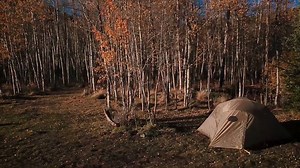 538 reactions · 91 shares | Give yourself the edge! RECON lightweight military sleeping bags. | Elite Survival Systems | Facebook