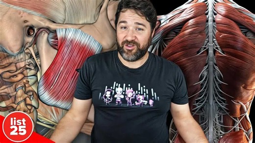 25 Muscle Facts That Will Stretch Your Mind