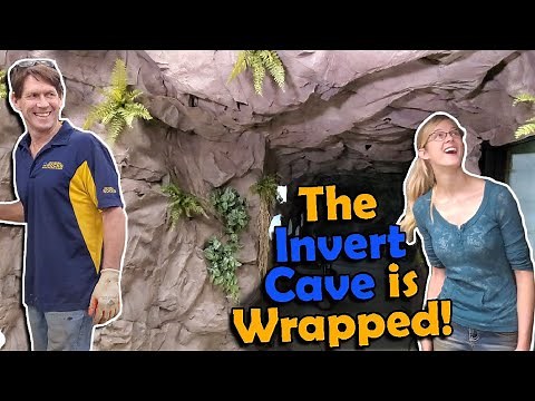 Facility Update #13 (We Built the Second Cave!)