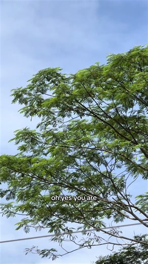 Whenever I feel lost, this song reminds me—He is my Way Maker, my Miracle Worker, my Promise Keeper. He never stops working.#waymaker #miracleworker #God #ourredeemer