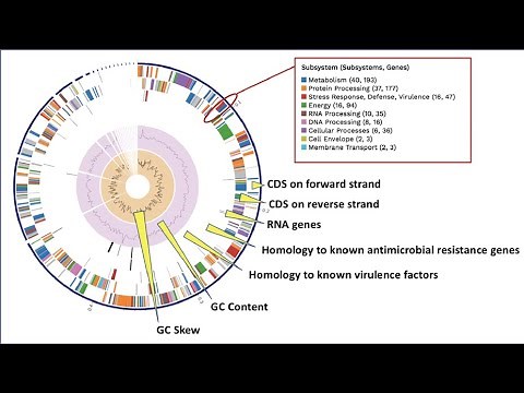 Comprehensive Genome Analysis Service